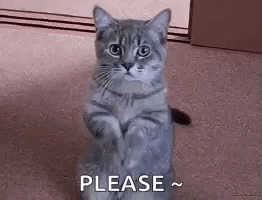 do not resist
